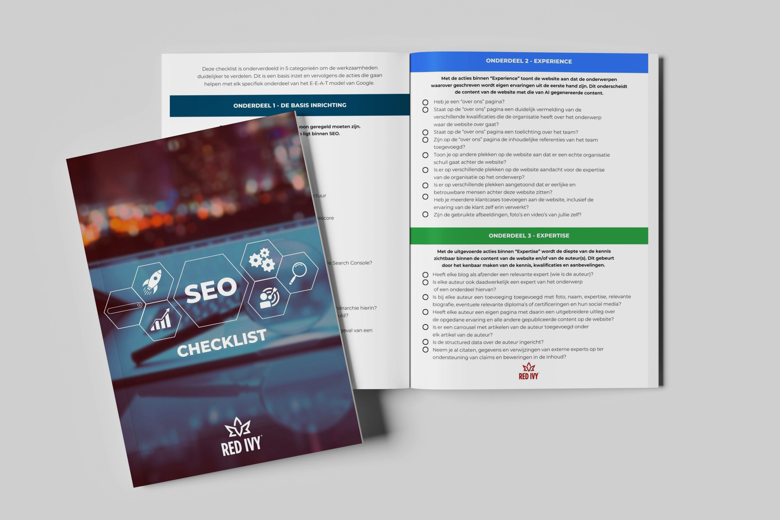 Seo Checklist red ivy 2024